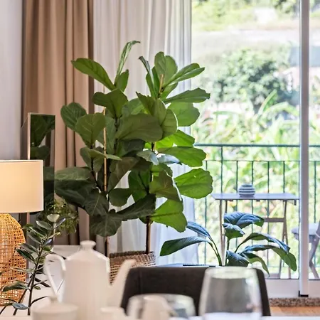 Appartement Ficcus Caniço