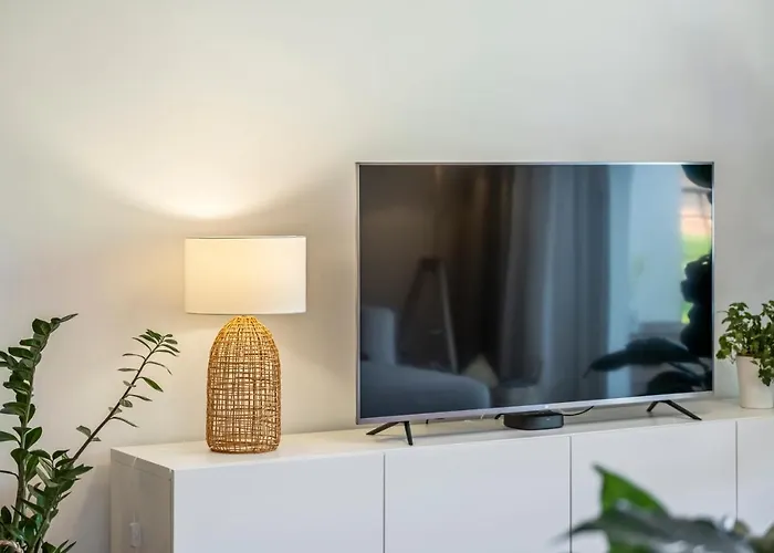 Ficcus * קאניקו