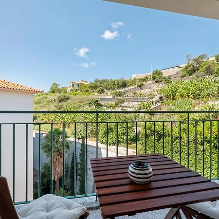 Ficcus * كانيكو